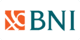BSI Net Logo